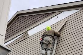 Best Custom Trim and Detailing for Siding  in North Bend, OH